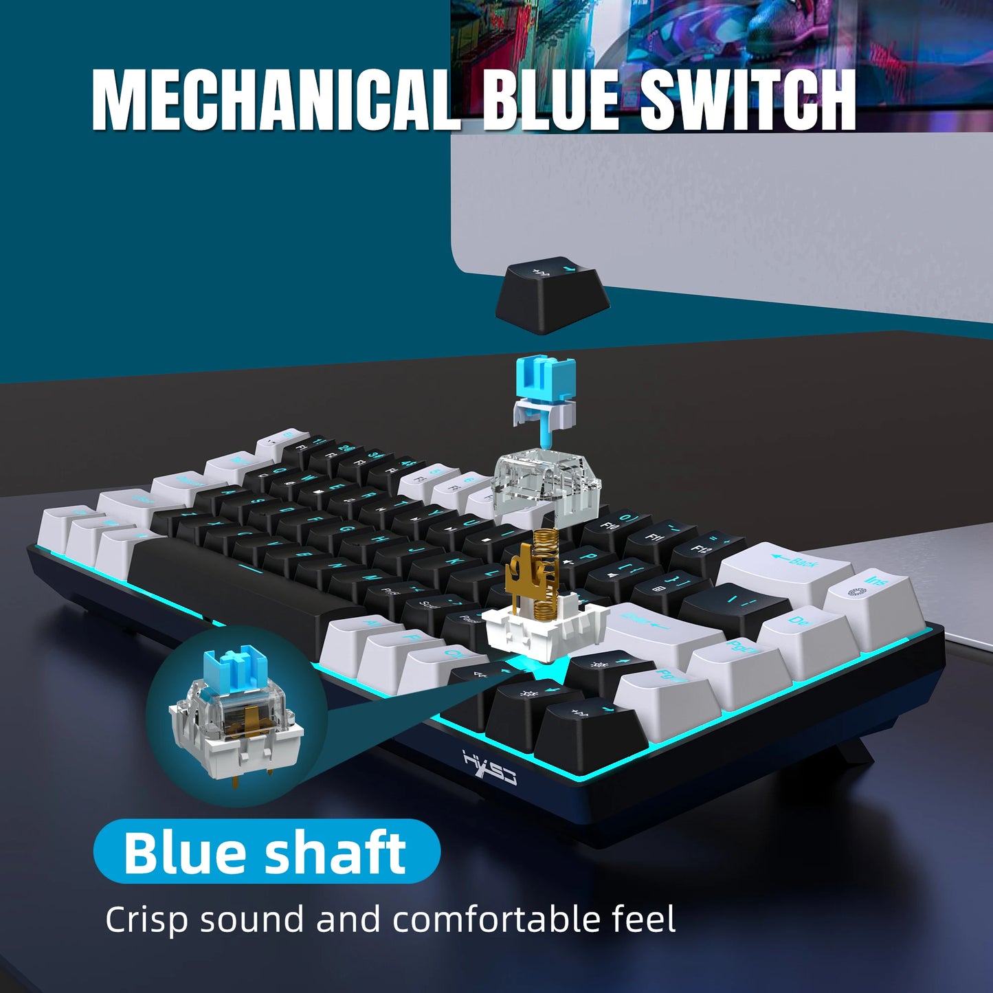 68 Keys Mechanical Keyboard Ergonomics RGB Backlit LED Hot Swappable Blue Switch Gaming Keyboard for PC Laptop